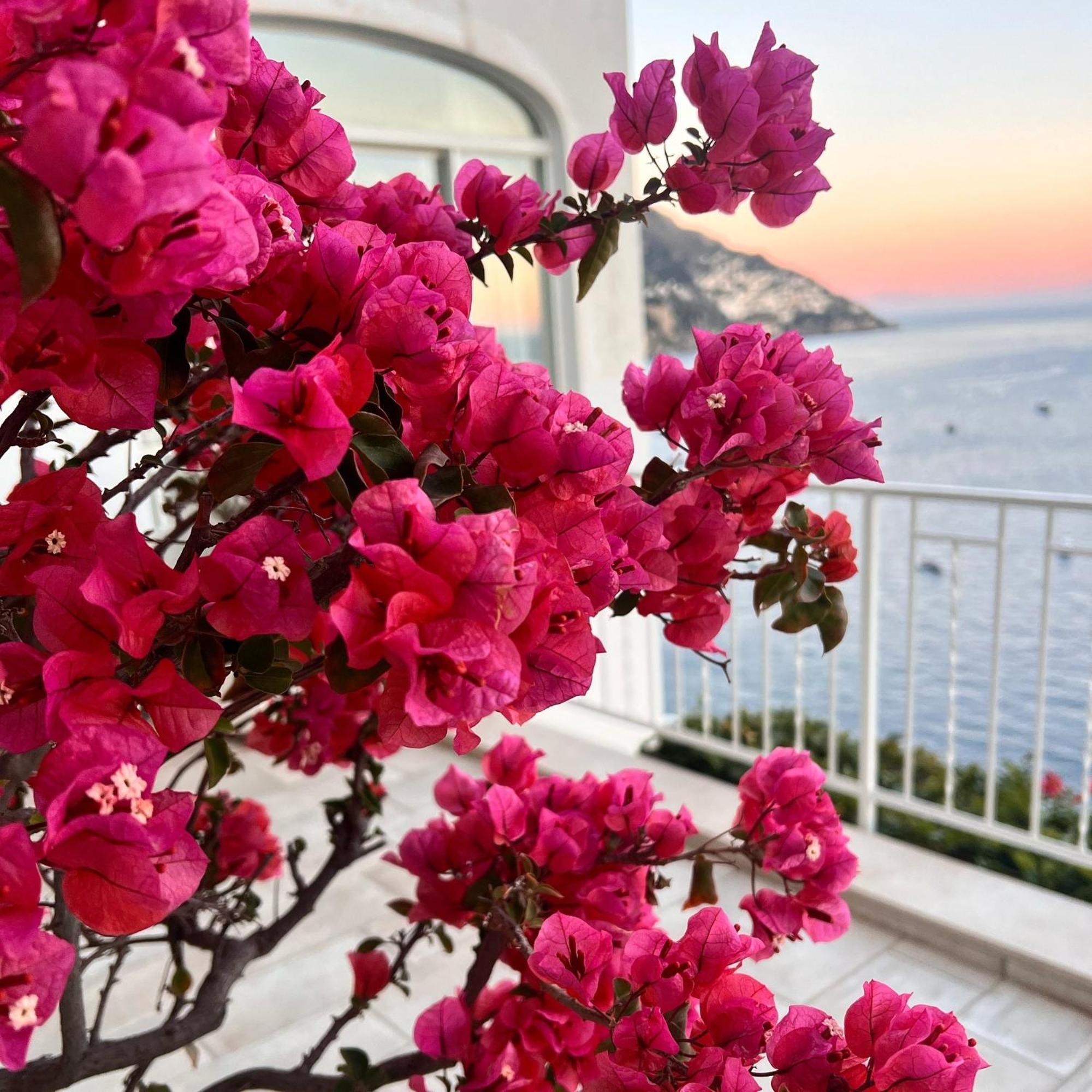 Maison Raphael Positano Apartment Exterior photo